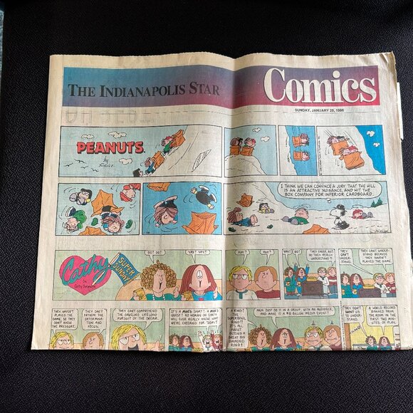 3 Vintage 1993 & 1996 Sunday Comics Funnies Indianapolis Star Newspaper Strips - Picture 12 of 16